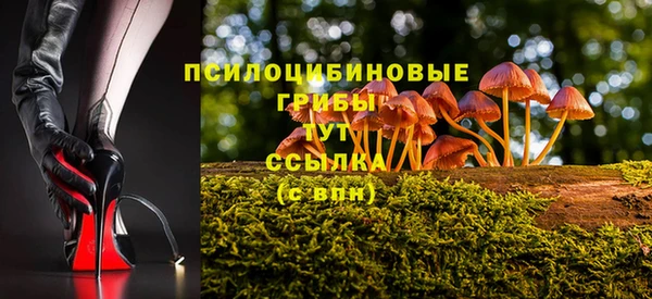 a pvp Алексин
